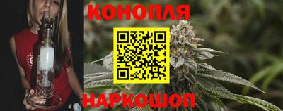 гашик Кунгур