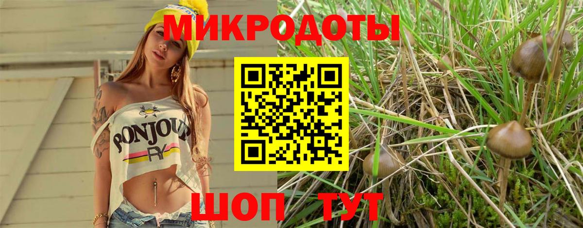 Киреевск  Псилоцибиновые грибы ЛСД  Вход с VPN 
